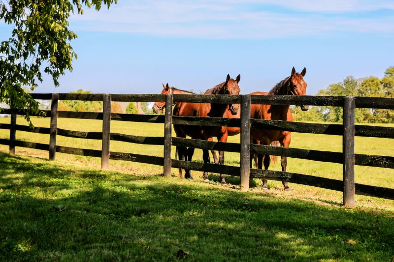 Equine Fence Installation in Sacramento, CA