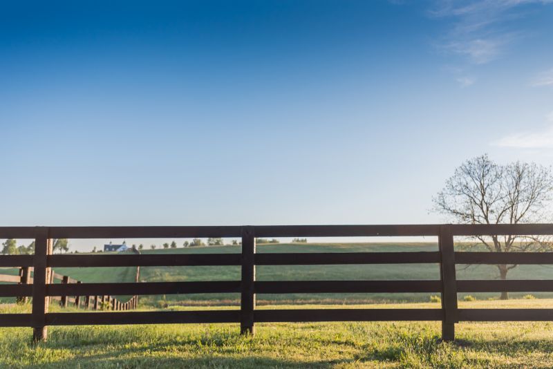 Horse Paddock Installation in Sacramento, CA