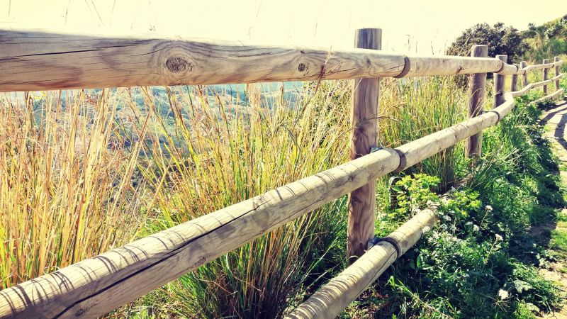 Pine Fence Installation in Sacramento, CA